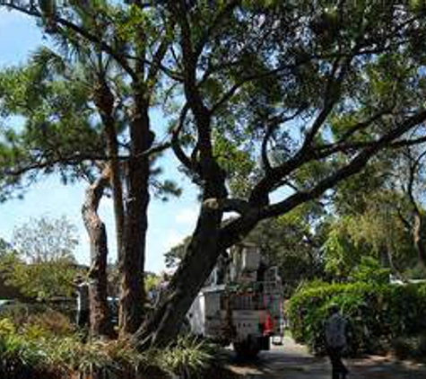 Arbor Works Tree Experts LLC - Palm Bay, FL