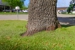 Hole In One Lawns - Landscape Designers & Consultants