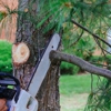 Burkey's Tree Service gallery