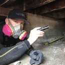 Elite Group Inspection Professionals