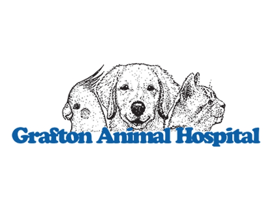 Grafton Animal Hospital - Yorktown, VA