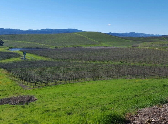 William Hill Estate Winery - Napa, CA