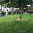 Elevated Lawns & Landscape - Landscaping & Lawn Services