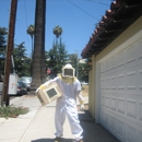 A Bee King - Beekeeping & Supplies