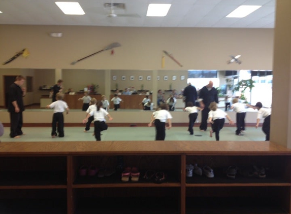 Rochester School-Martial Arts - Rochester, MI