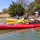 Glass Bottom Kayak Tours