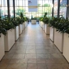 Shades Of Green gallery