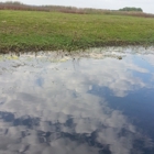 Wild Willy's Airboat Tours