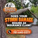 Walnut Tree Service