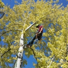 Leo Tree Service