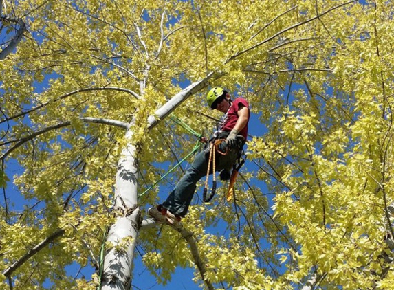 Leo Tree Service