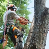 All South Tree Company gallery