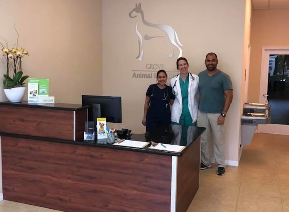 Grove Animal Hospital - Miami, FL