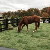 The Plaza Grande at Garden State Park gallery