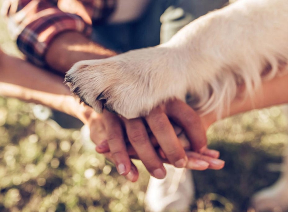 Broadmeadow Veterinary Hospital - Adamstown, NSW