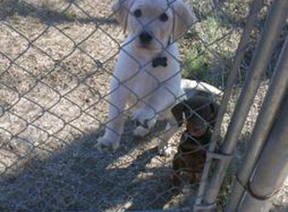 Northside Kountry Kennels & Pet Resort LLC - Victoria, TX