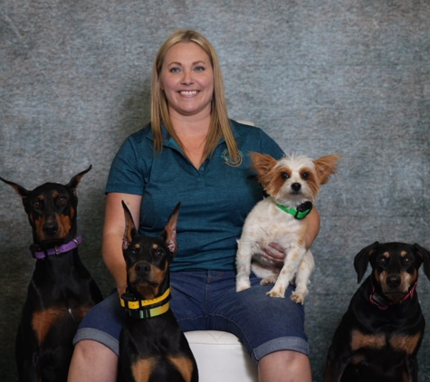 K9 Fluent Dog Training - Sunset, UT