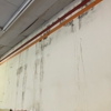 Carolina Mold & Air gallery