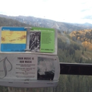 Silver Queen Gondola - Sightseeing Tours