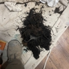 Roto-Rooter Plumbing & Water Cleanup gallery