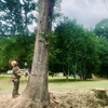 Big South Land & Tree gallery
