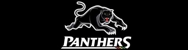 Panther Glass - Windows