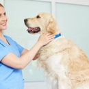 Valley Animal Hospital - Veterinarians