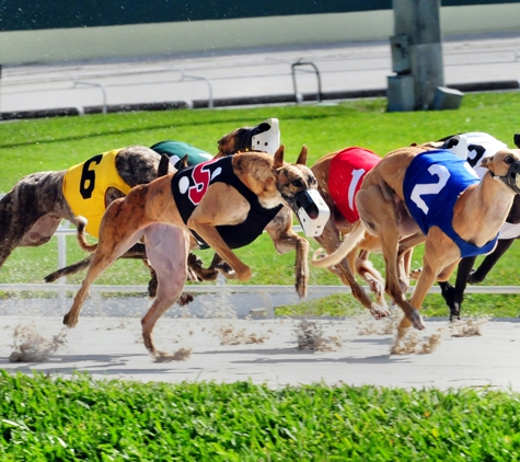 Palm Beach Kennel Club & Poker Room - Reddick, FL