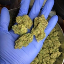 Local Product of Colorado - Herbs