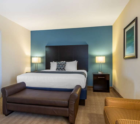 Best Western Plus Lytle Inn & Suites - Lytle, TX