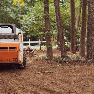 Arborall Tree Service - Flowery Branch, GA