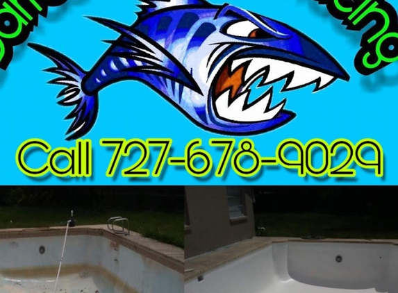 Barracuda Surfaces - Largo, FL