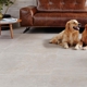 Denver Carpet & Flooring