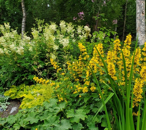 Alaska Botanical Garden - Anchorage, AK