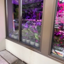 Our Secret Garden - Florists