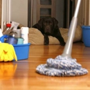 Dawn To Dusk Cleaning Svc - House Cleaning
