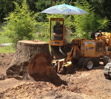 Lone Star Stump Grinding - Porter, TX