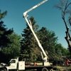 Ray Bensch Tree Service LLC gallery