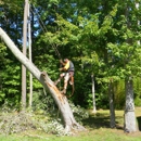 Aaron's Tree Removal - Tree Service