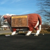 Franklin Drive-In gallery