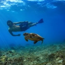 Maui Activities Store - Tourist Information & Attractions