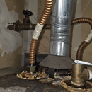 Mold Inspection Service - Mold Remediation