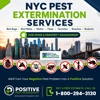 Positive Pest Management gallery