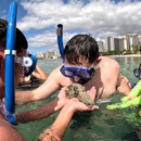 Discover Tours Hawaii - Waikiki Snorkeling Tours - Tourist Information & Attractions