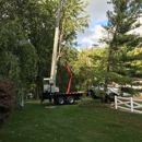 Ajax Tree Service, L.L.C. - Tree Service