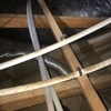 Critter Control of Central Florida gallery