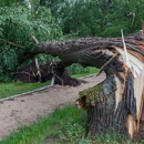 Stockyard Tree Service