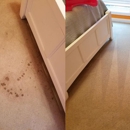 BearFoot Carpet Cleaning - Carpet & Rug Cleaners