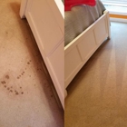 BearFoot Carpet Cleaning