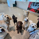 Bayside Pet Resort